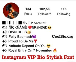 BEST 250+ Instagram VIP Bio Stylish Font (2023) - Cool Bio