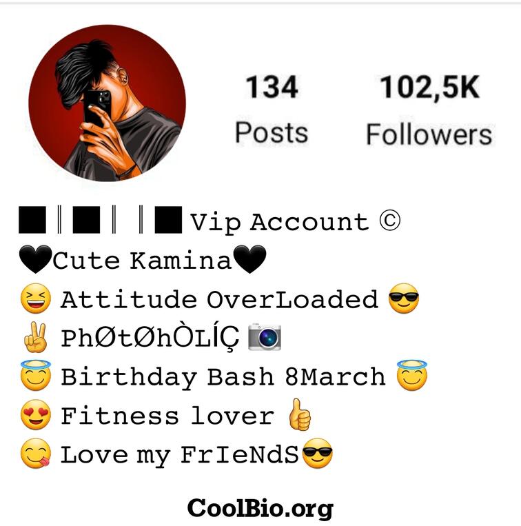 instagram bio for boys stylish font