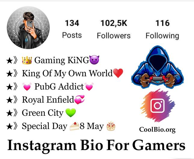 Instagram Bio For Gamers