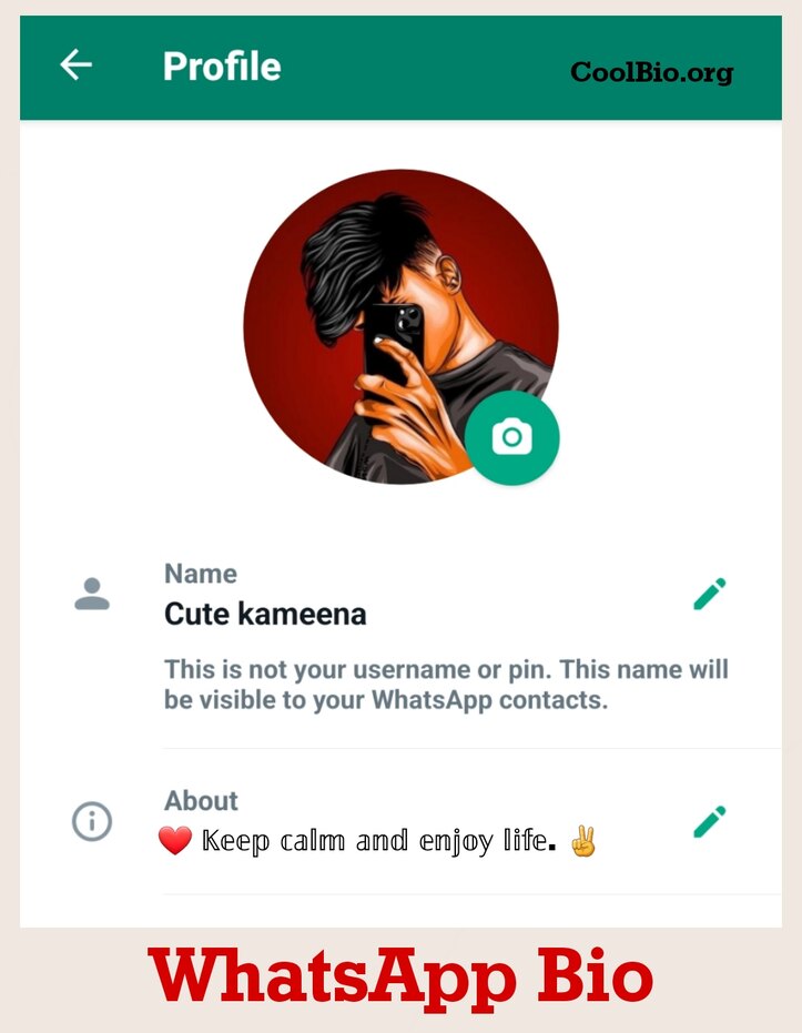 WhatsApp Bio For Boys
