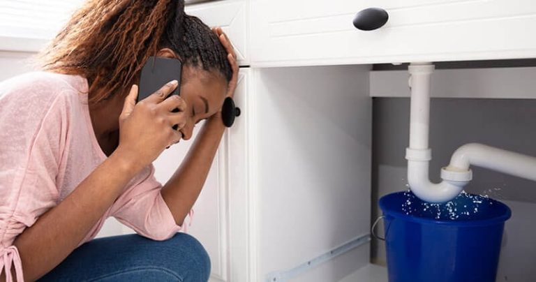 Unveiling the Culprits Behind Household Water Leaks