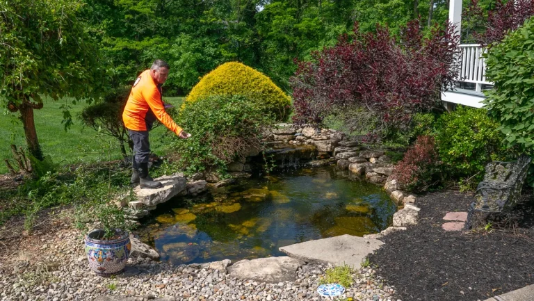 Battling Backyard Buzz: Your Guide to Mosquito Control in Louisville, KY