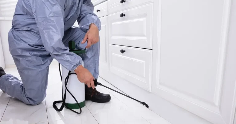 Mastering Pest Control in Commercial Settings: A Comprehensive Guide