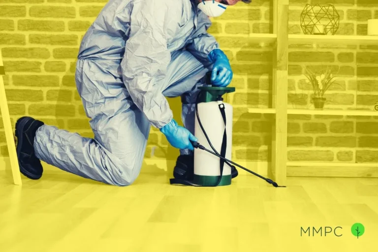 Is Professional Pest Control Worth It? A New Braunfels Guide to Making the Right Choice