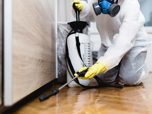 Keeping Your Tenants Happy (and Pest-Free): A Commercial Property Owner’s Guide to Comprehensive Pest Control