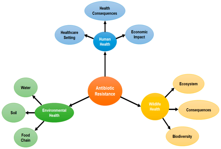 Can Nflox TZ Cause Resistance? Understanding Antibiotic Resistance
