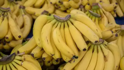 Banana Diet — Its Pros, Cons, and Specifics