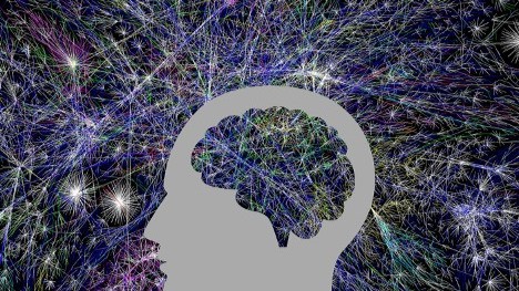 Quantum Biology: The Intersection of Physics and Biology in Understanding the Body’s True Nature